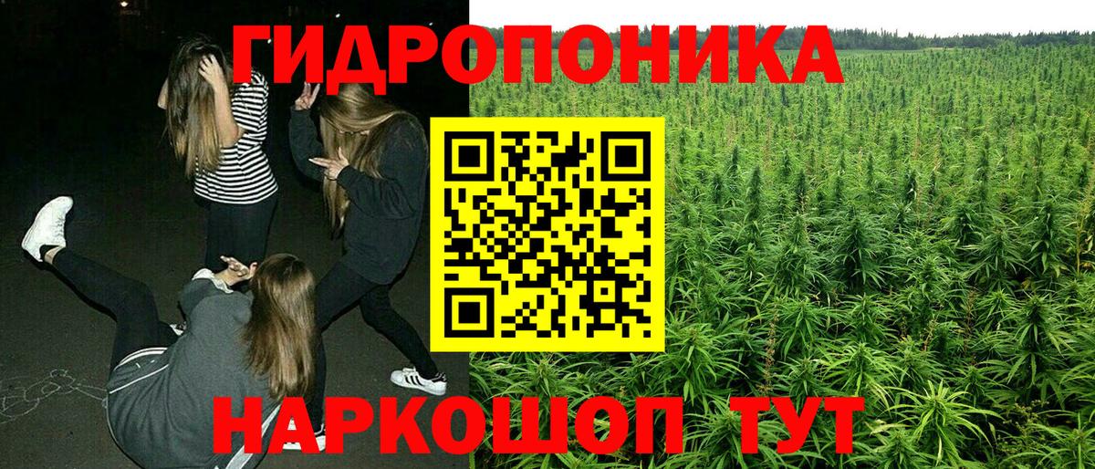 Каннабис THC 21%  Конопля SATIVA & INDICA  Вход с VPN  Железногорск  Каннабис тримм 